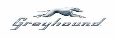 Greyhound