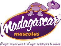 Madagascar Mascotas
