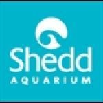 Sheddaquarium
