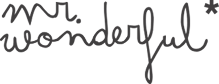 Mr. Wonderful