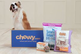 Where Can You Purchase A Chewy Gift Card?